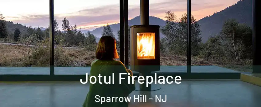 Jotul Fireplace Sparrow Hill - NJ