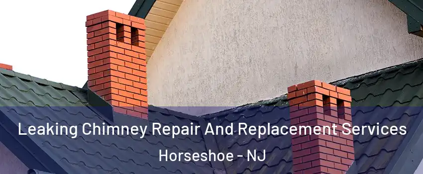 Leaking Chimney Repair And Replacement Services Horseshoe - NJ