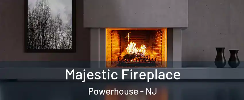 Majestic Fireplace Powerhouse - NJ