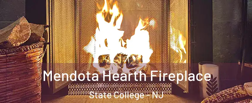 Mendota Hearth Fireplace State College - NJ