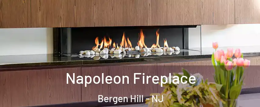 Napoleon Fireplace Bergen Hill - NJ