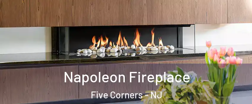 Napoleon Fireplace Five Corners - NJ