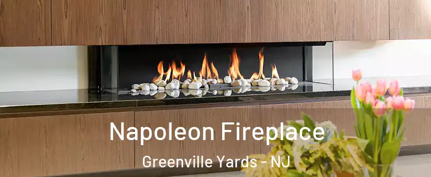 Napoleon Fireplace Greenville Yards - NJ