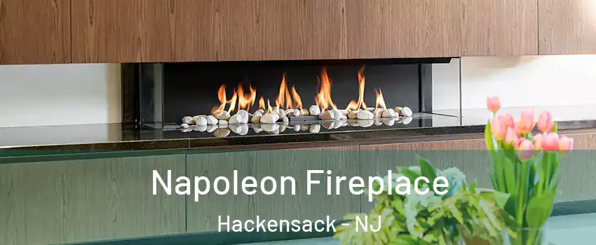 Napoleon Fireplace Hackensack - NJ