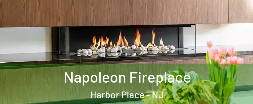 Napoleon Fireplace Harbor Place - NJ