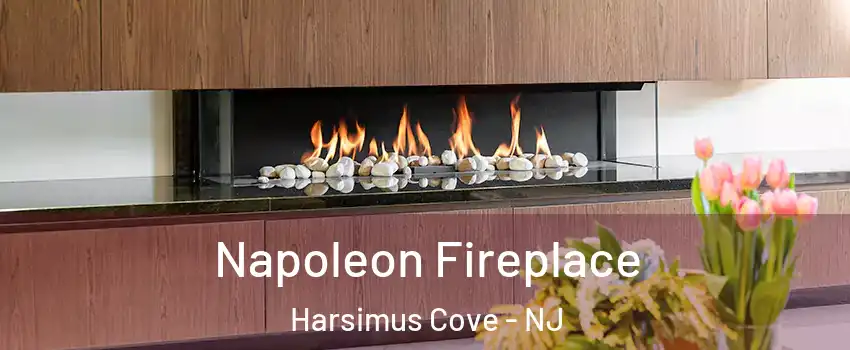 Napoleon Fireplace Harsimus Cove - NJ