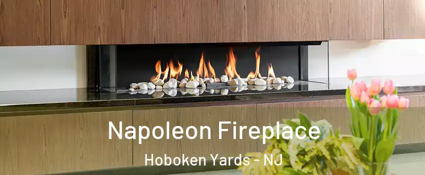 Napoleon Fireplace Hoboken Yards - NJ