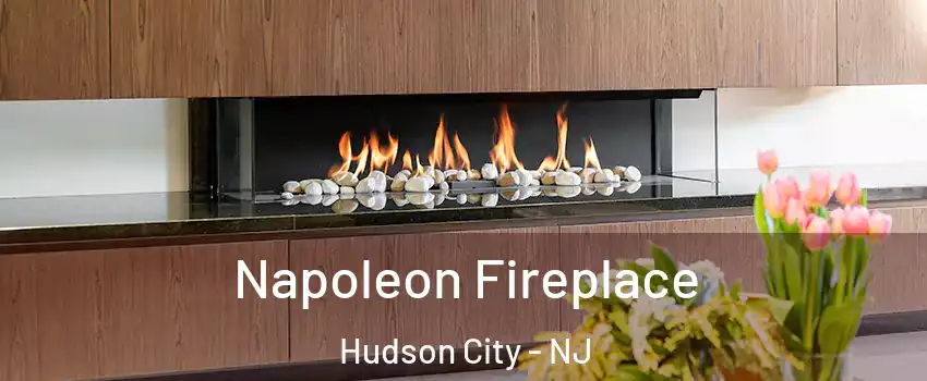 Napoleon Fireplace Hudson City - NJ