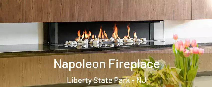 Napoleon Fireplace Liberty State Park - NJ