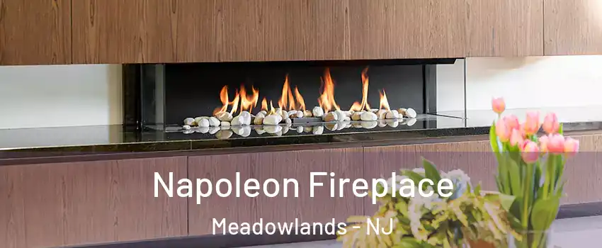 Napoleon Fireplace Meadowlands - NJ