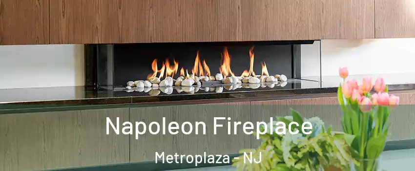 Napoleon Fireplace Metroplaza - NJ