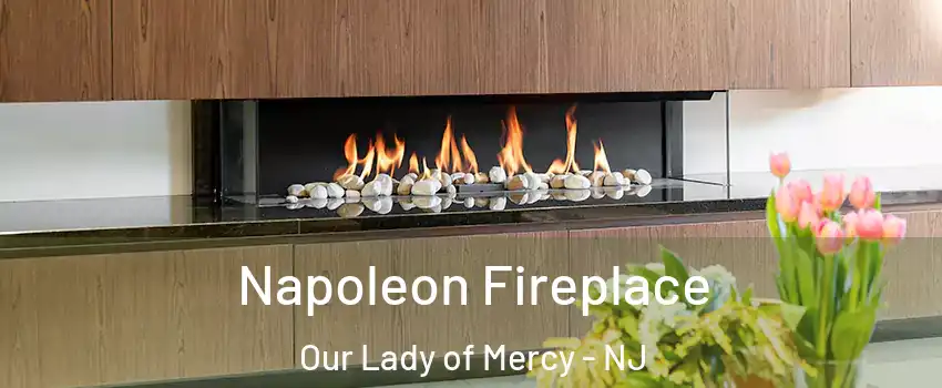 Napoleon Fireplace Our Lady of Mercy - NJ