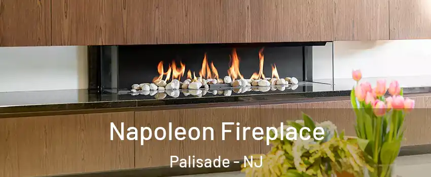 Napoleon Fireplace Palisade - NJ