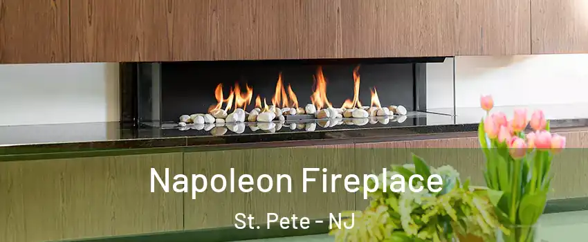 Napoleon Fireplace St. Pete - NJ