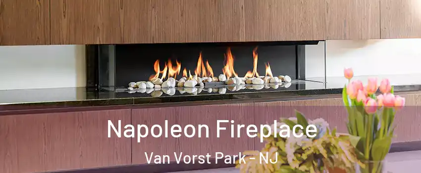 Napoleon Fireplace Van Vorst Park - NJ