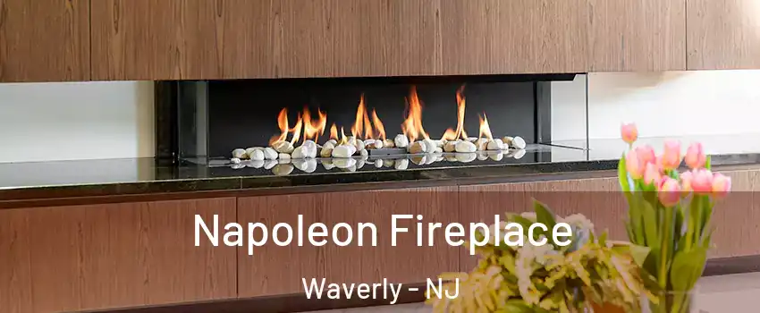 Napoleon Fireplace Waverly - NJ