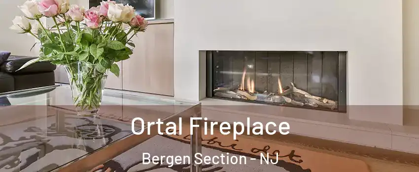 Ortal Fireplace Bergen Section - NJ