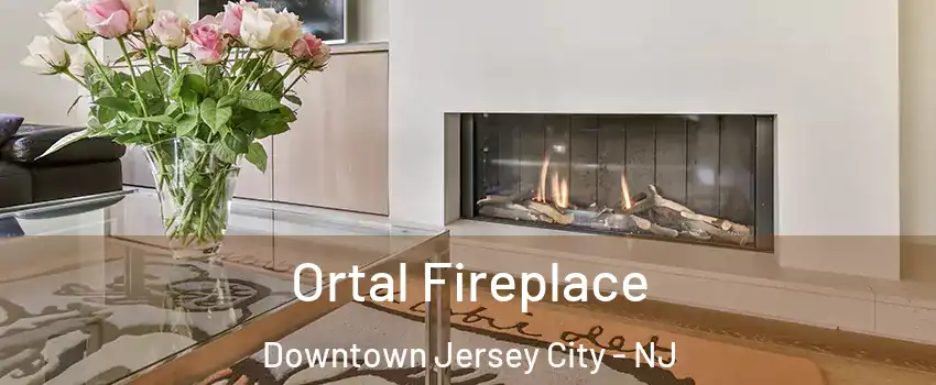 Ortal Fireplace Downtown Jersey City - NJ