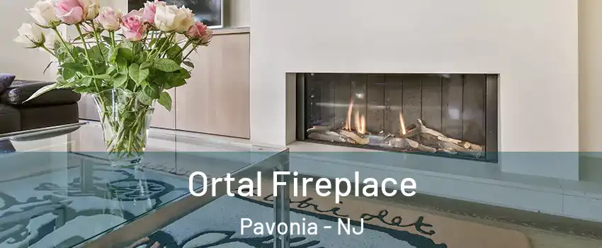 Ortal Fireplace Pavonia - NJ