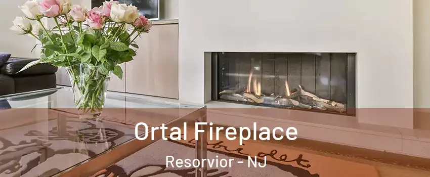 Ortal Fireplace Resorvior - NJ