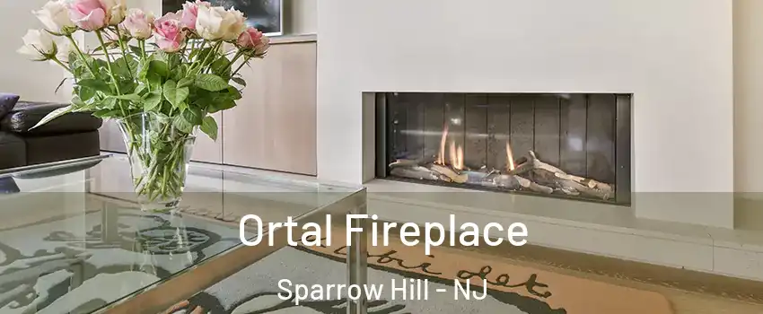 Ortal Fireplace Sparrow Hill - NJ