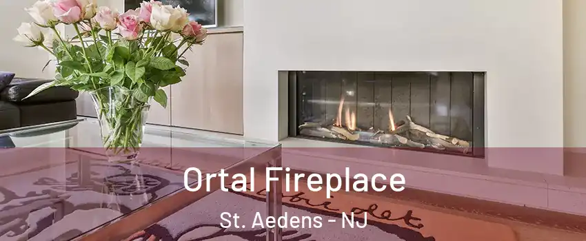 Ortal Fireplace St. Aedens - NJ