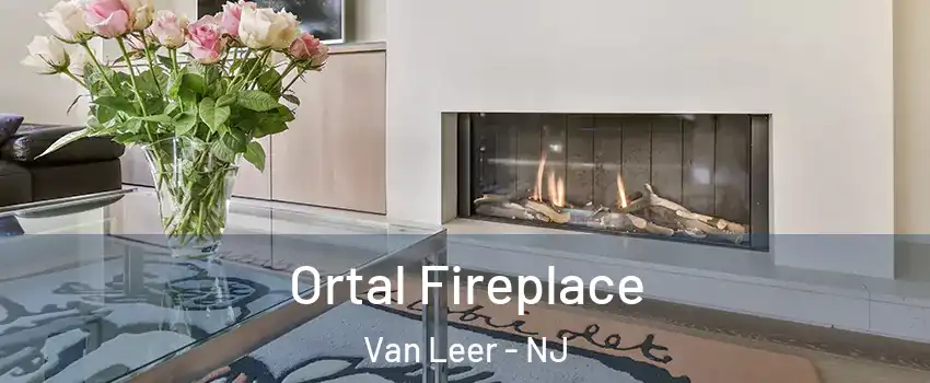 Ortal Fireplace Van Leer - NJ