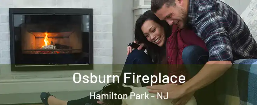 Osburn Fireplace Hamilton Park - NJ