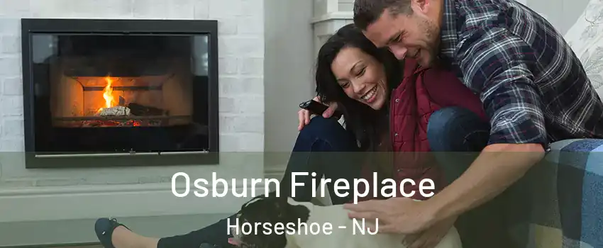 Osburn Fireplace Horseshoe - NJ