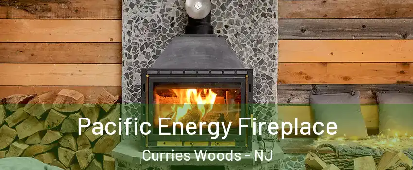 Pacific Energy Fireplace Curries Woods - NJ