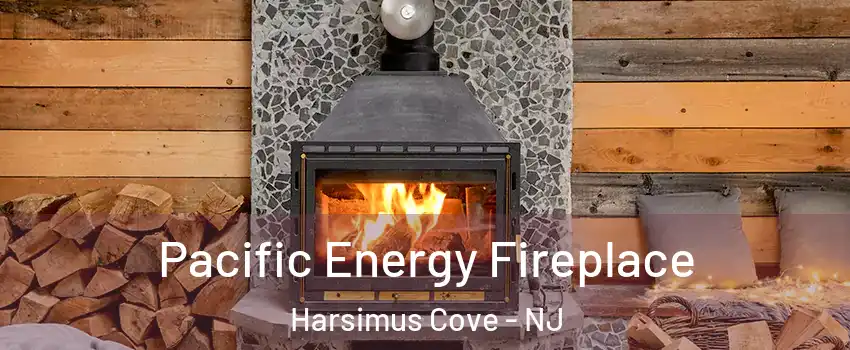 Pacific Energy Fireplace Harsimus Cove - NJ