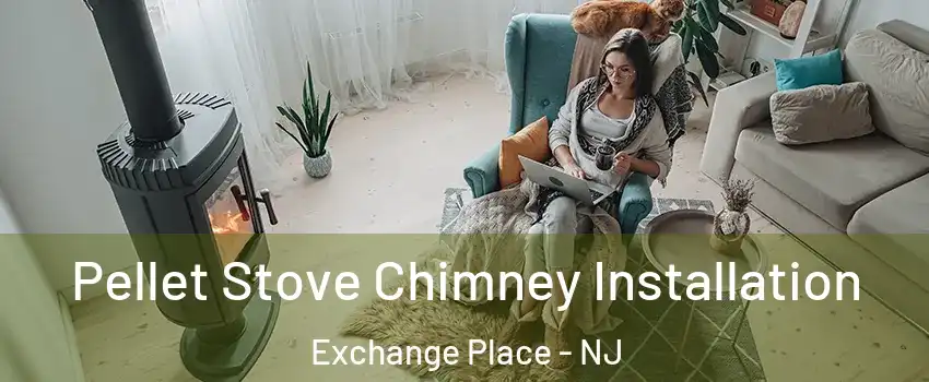 Pellet Stove Chimney Installation Exchange Place - NJ