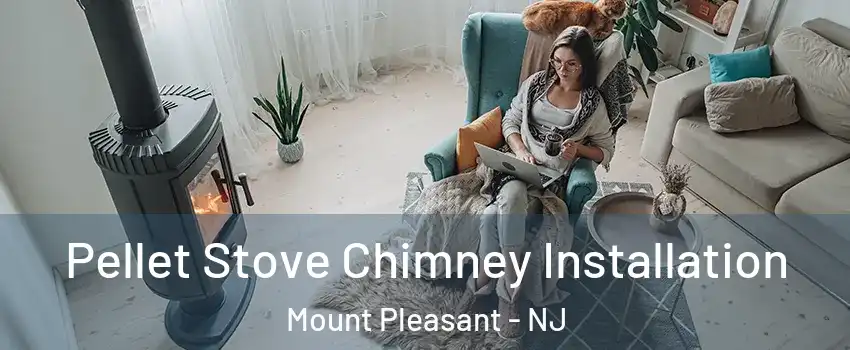 Pellet Stove Chimney Installation Mount Pleasant - NJ