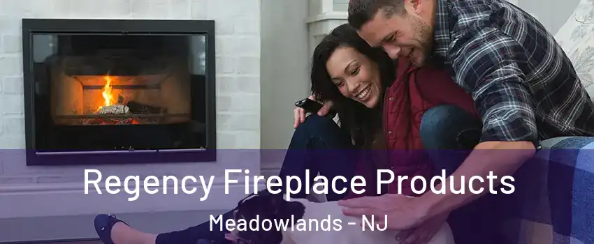 Regency Fireplace Products Meadowlands - NJ