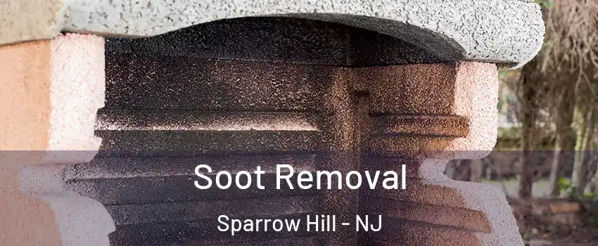 Soot Removal Sparrow Hill - NJ