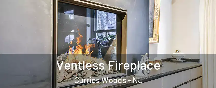 Ventless Fireplace Curries Woods - NJ