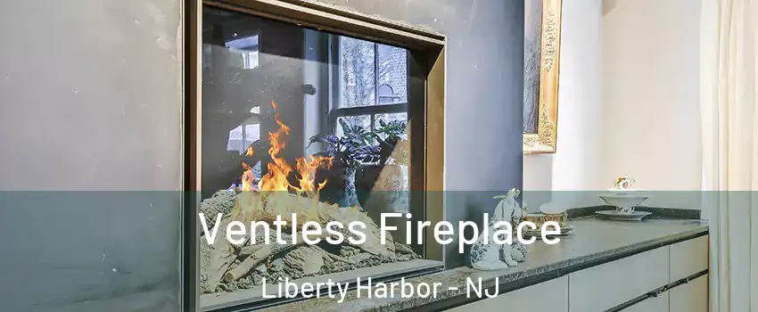 Ventless Fireplace Liberty Harbor - NJ