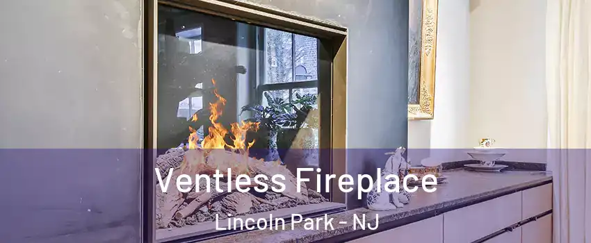 Ventless Fireplace Lincoln Park - NJ