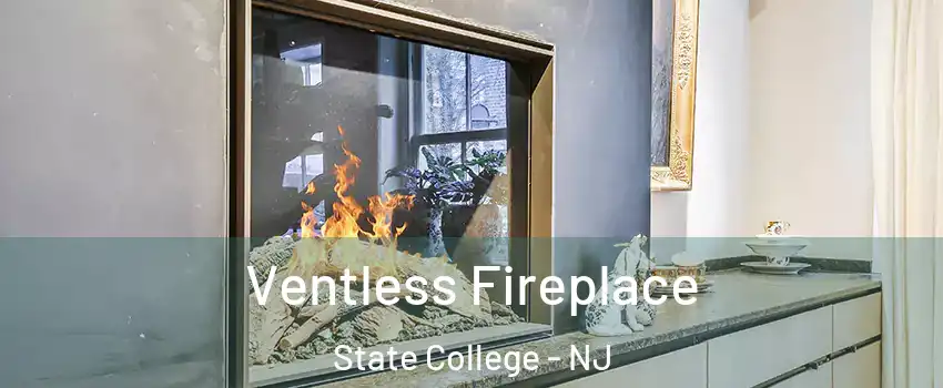 Ventless Fireplace State College - NJ