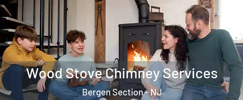 Wood Stove Chimney Services Bergen Section - NJ