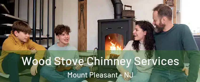 Wood Stove Chimney Services Mount Pleasant - NJ