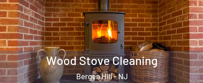 Wood Stove Cleaning Bergen Hill - NJ