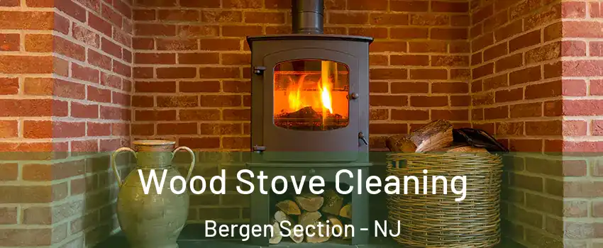 Wood Stove Cleaning Bergen Section - NJ