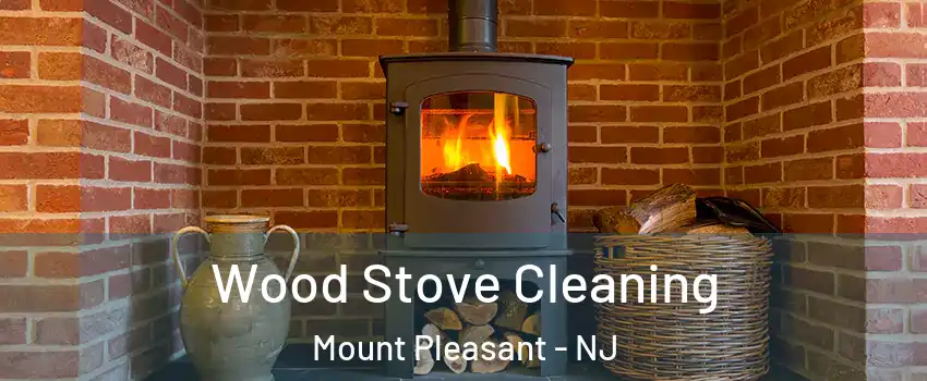 Wood Stove Cleaning Mount Pleasant - NJ