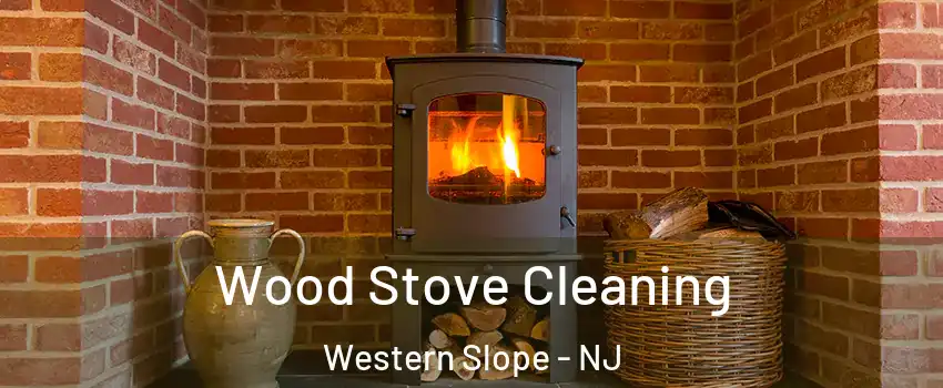 Wood Stove Cleaning Western Slope - NJ