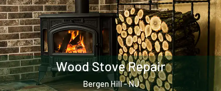 Wood Stove Repair Bergen Hill - NJ