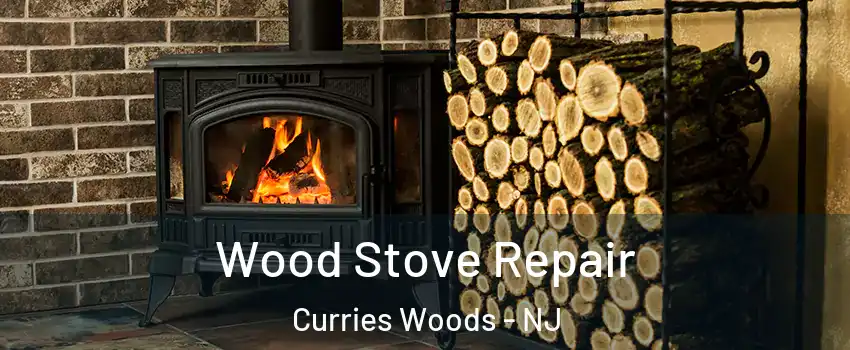 Wood Stove Repair Curries Woods - NJ